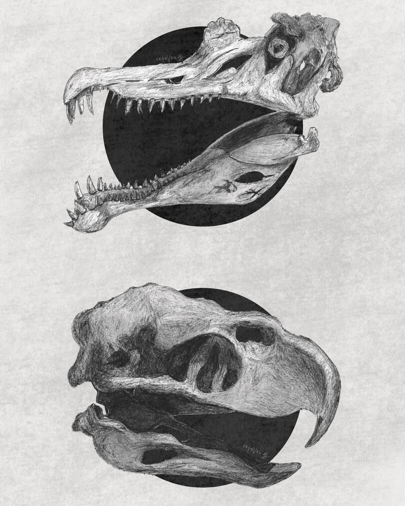 Spinosaurus and Argentavis Skulls (2020)